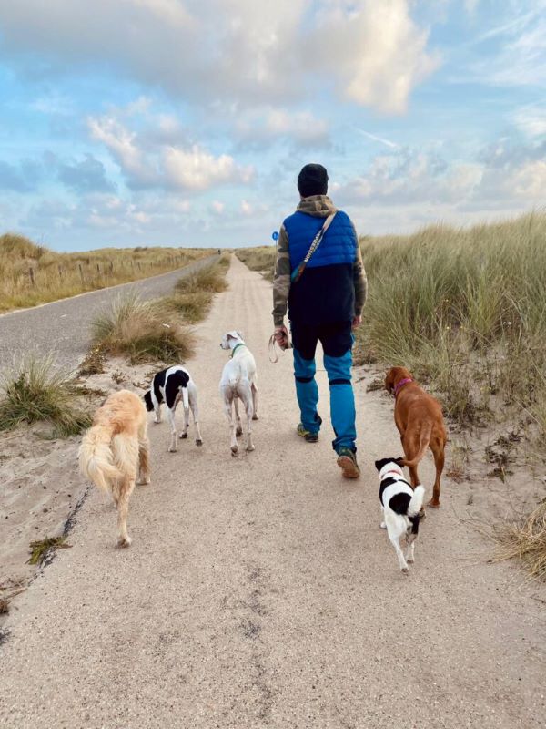 Dogwalk